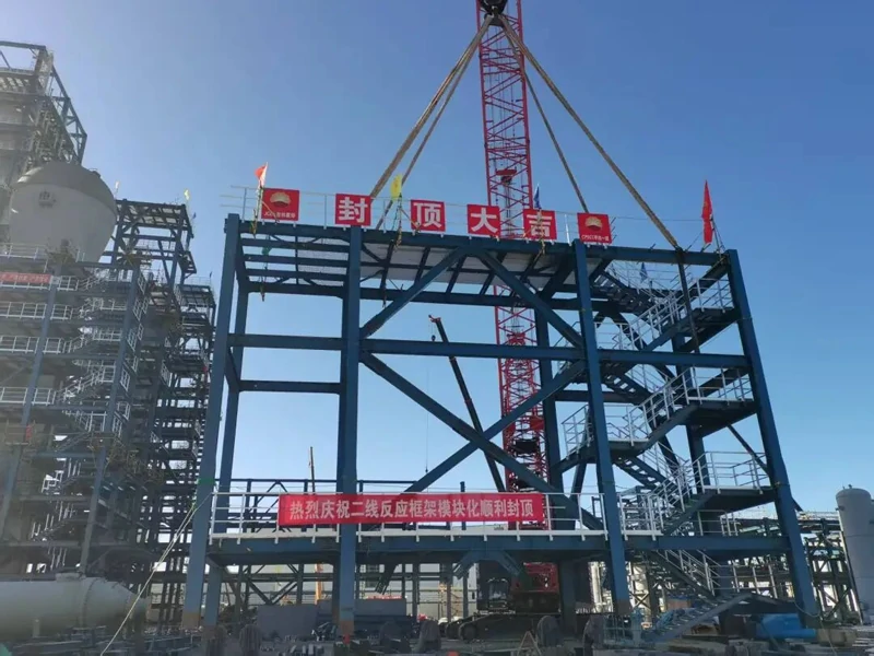Complex Industrial Steel Frames